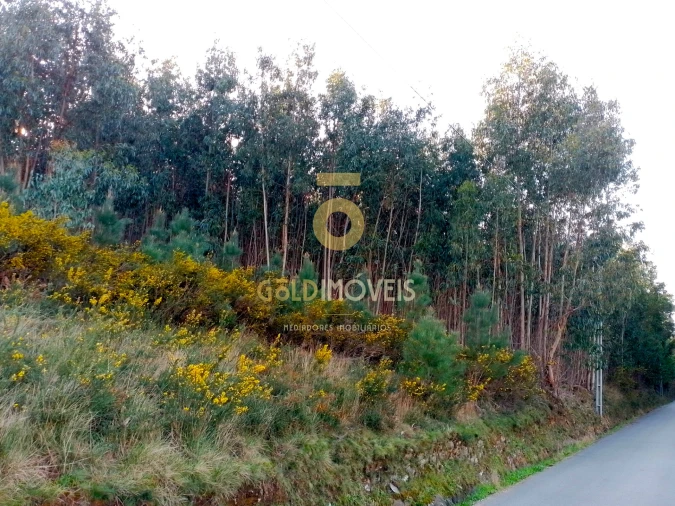 Terreno Agricola ou Rústico para Venda em Raiva, Pedorido e Paraíso Foto 2