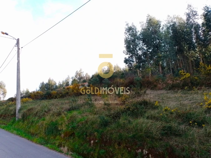 Terreno Agricola ou Rústico para Venda em Raiva, Pedorido e Paraíso Foto 4