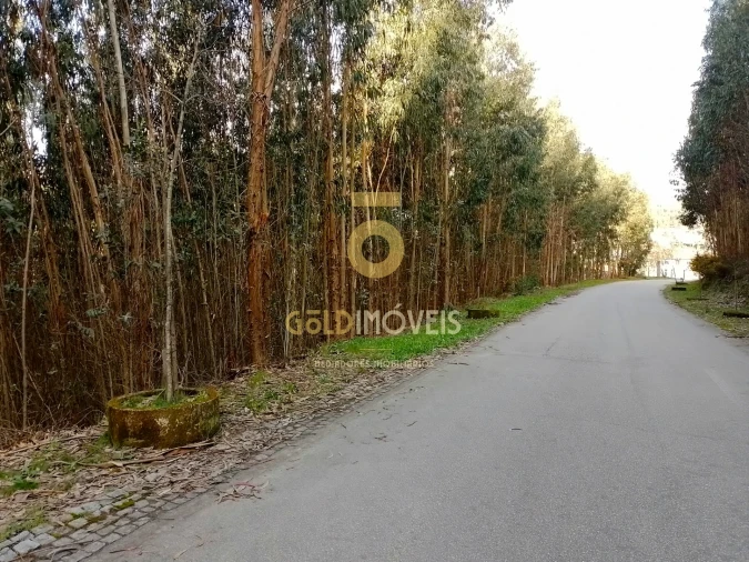 Terreno Agricola ou Rústico para Venda em Raiva, Pedorido e Paraíso Foto 7