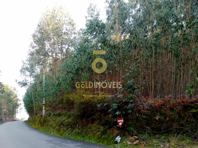 Terreno Agricola ou Rústico para Venda em Raiva, Pedorido e Paraíso Foto 6