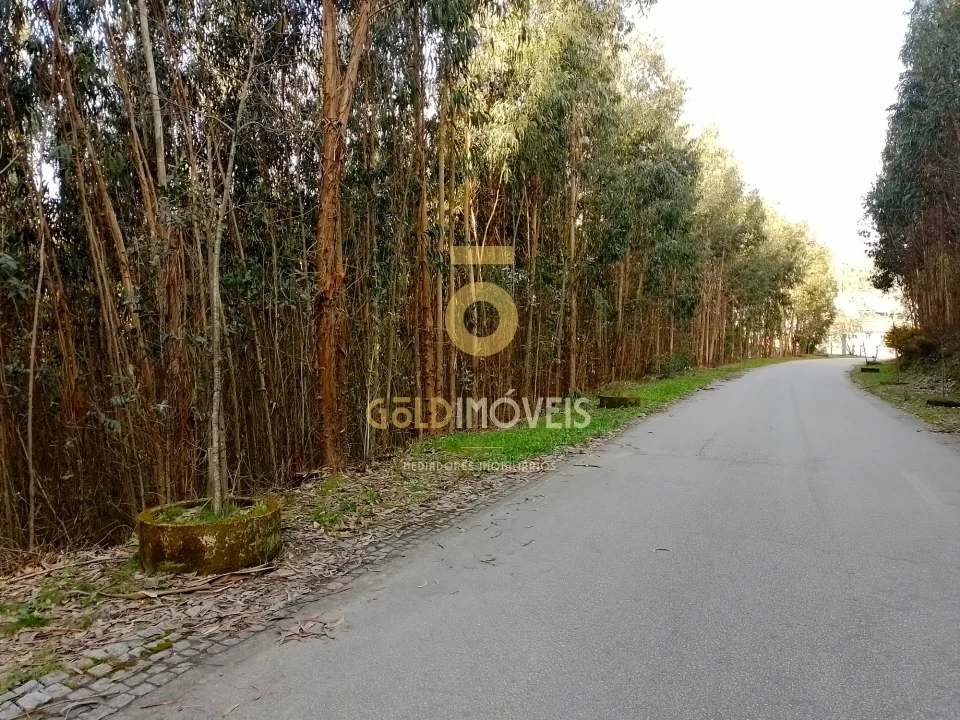 Terreno Agricola ou Rústico para Venda em Raiva, Pedorido e Paraíso Foto 7