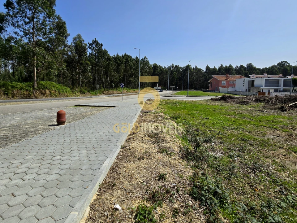 Terreno para Venda em São João de Ver Foto 3