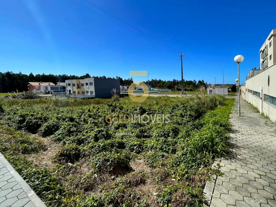 Terreno para Venda em São João de Ver Foto 8