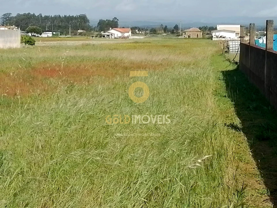 Terreno para Venda em Ovar, São João, Arada e São Vicente de Pereira Jusã Foto 10