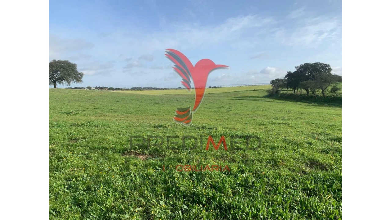 Terreno para Venda em Ferreira do Alentejo e Canhestros Foto 3