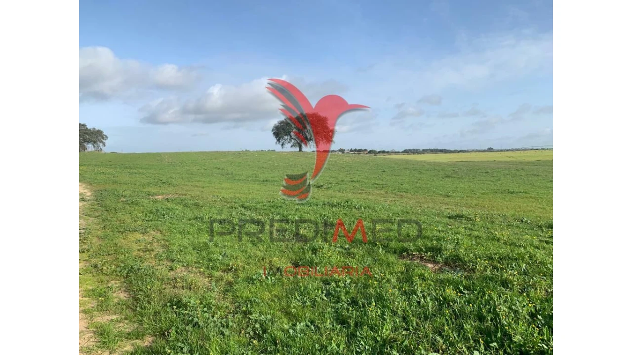 Terreno para Venda em Ferreira do Alentejo e Canhestros Foto 1