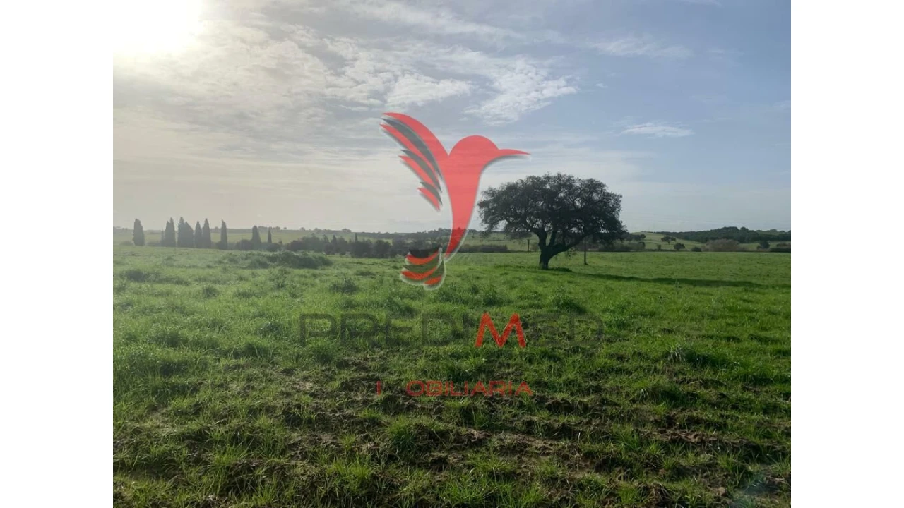 Terreno para Venda em Ferreira do Alentejo e Canhestros Foto 4