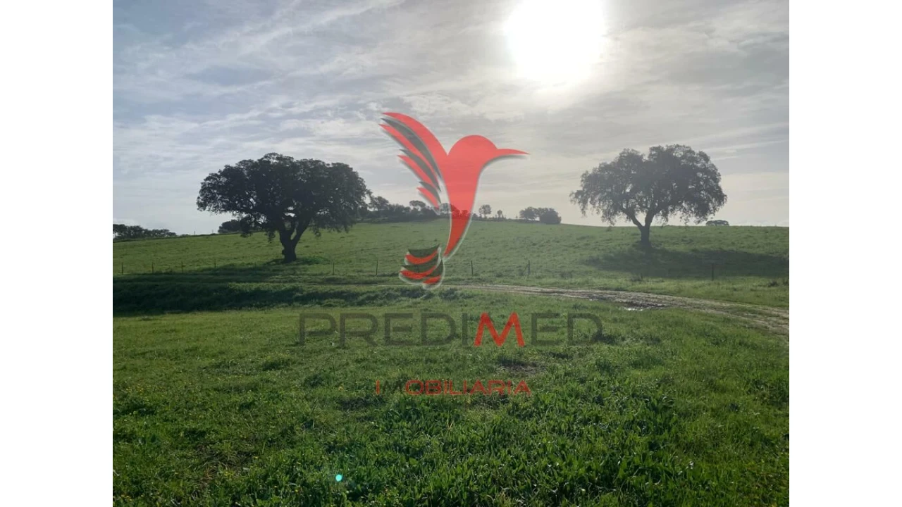 Terreno para Venda em Ferreira do Alentejo e Canhestros Foto 9