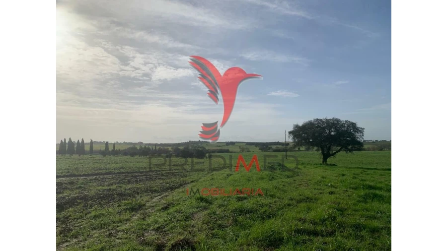 Terreno para Venda em Ferreira do Alentejo e Canhestros Foto 13