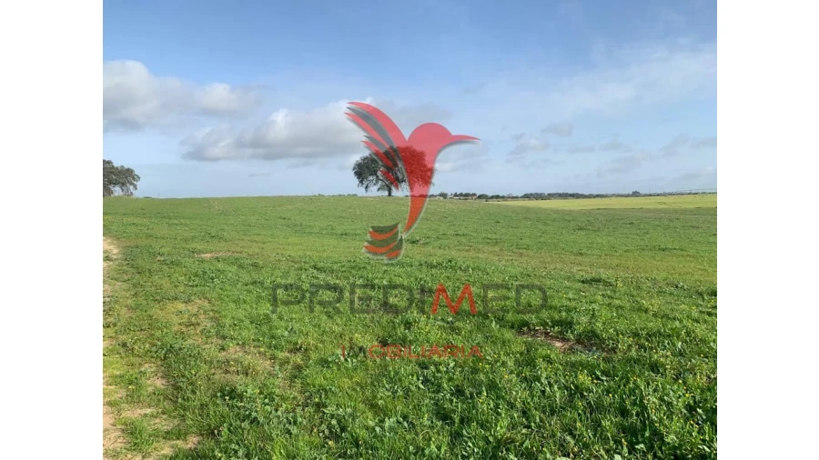 Terreno para Venda em Ferreira do Alentejo e Canhestros