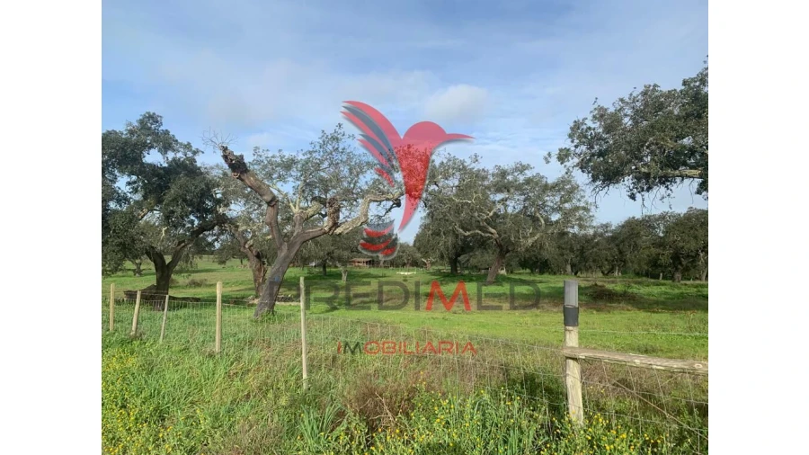 Terreno para Venda em Ferreira do Alentejo e Canhestros Foto 7