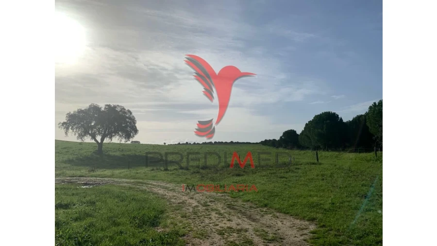 Terreno para Venda em Ferreira do Alentejo e Canhestros Foto 8