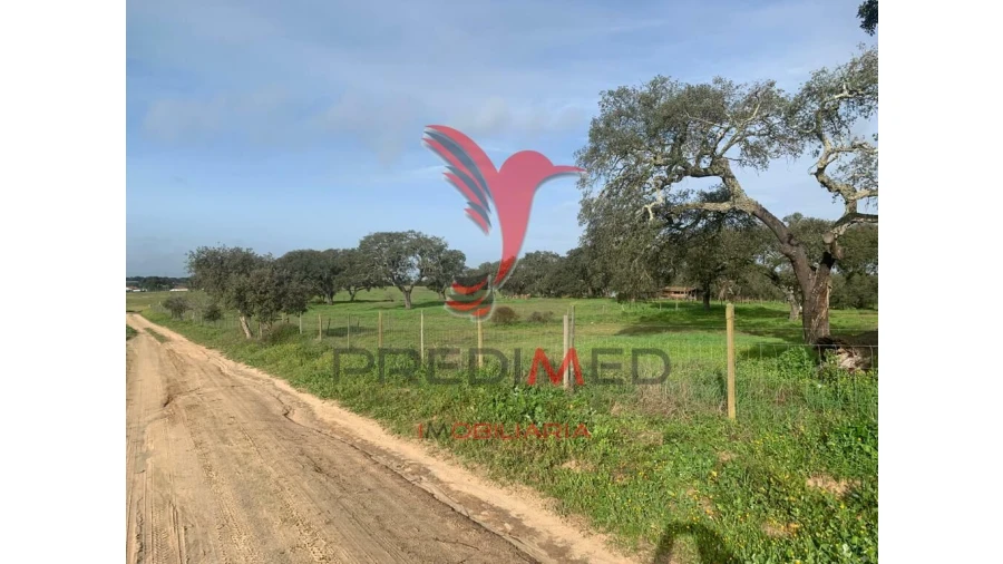 Terreno para Venda em Ferreira do Alentejo e Canhestros Foto 6