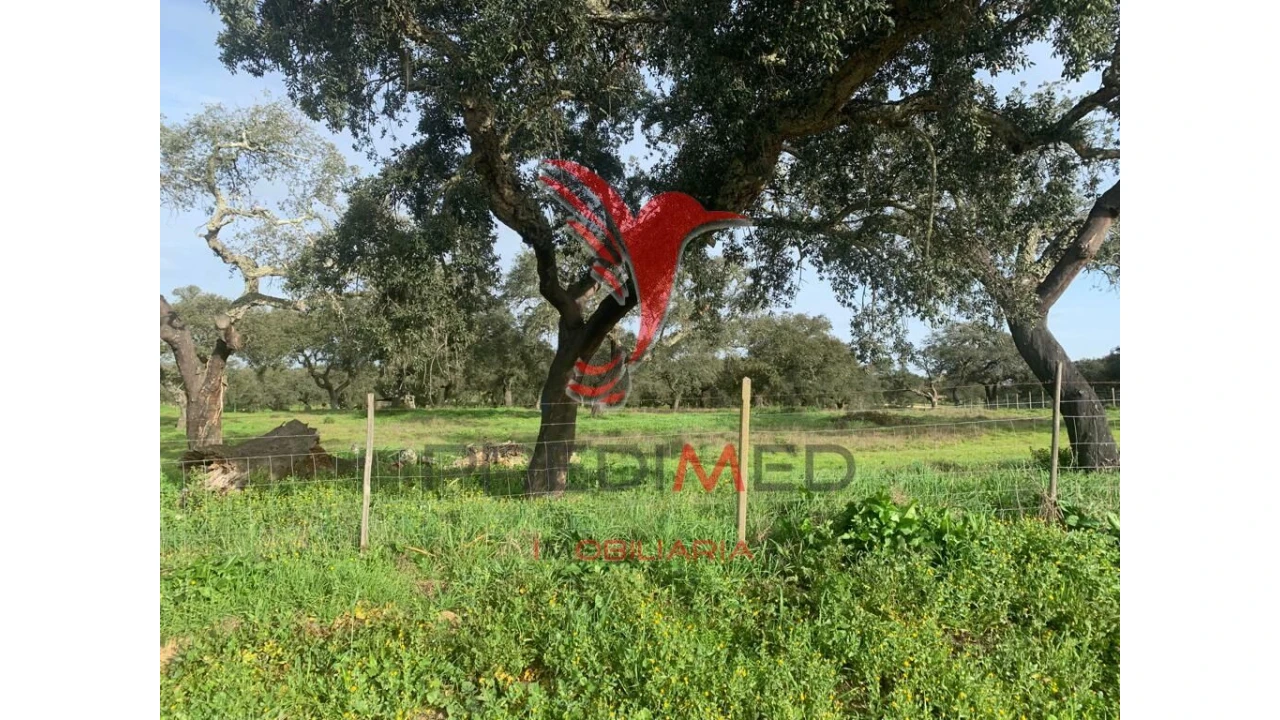 Terreno para Venda em Ferreira do Alentejo e Canhestros Foto 12
