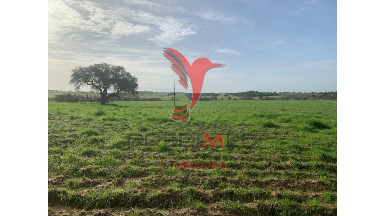 Terreno para Venda em Ferreira do Alentejo e Canhestros Foto 2