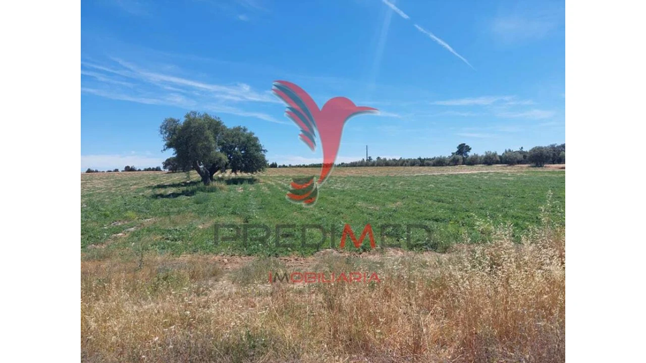 Terreno para Venda em Ferreira do Alentejo e Canhestros Foto 15