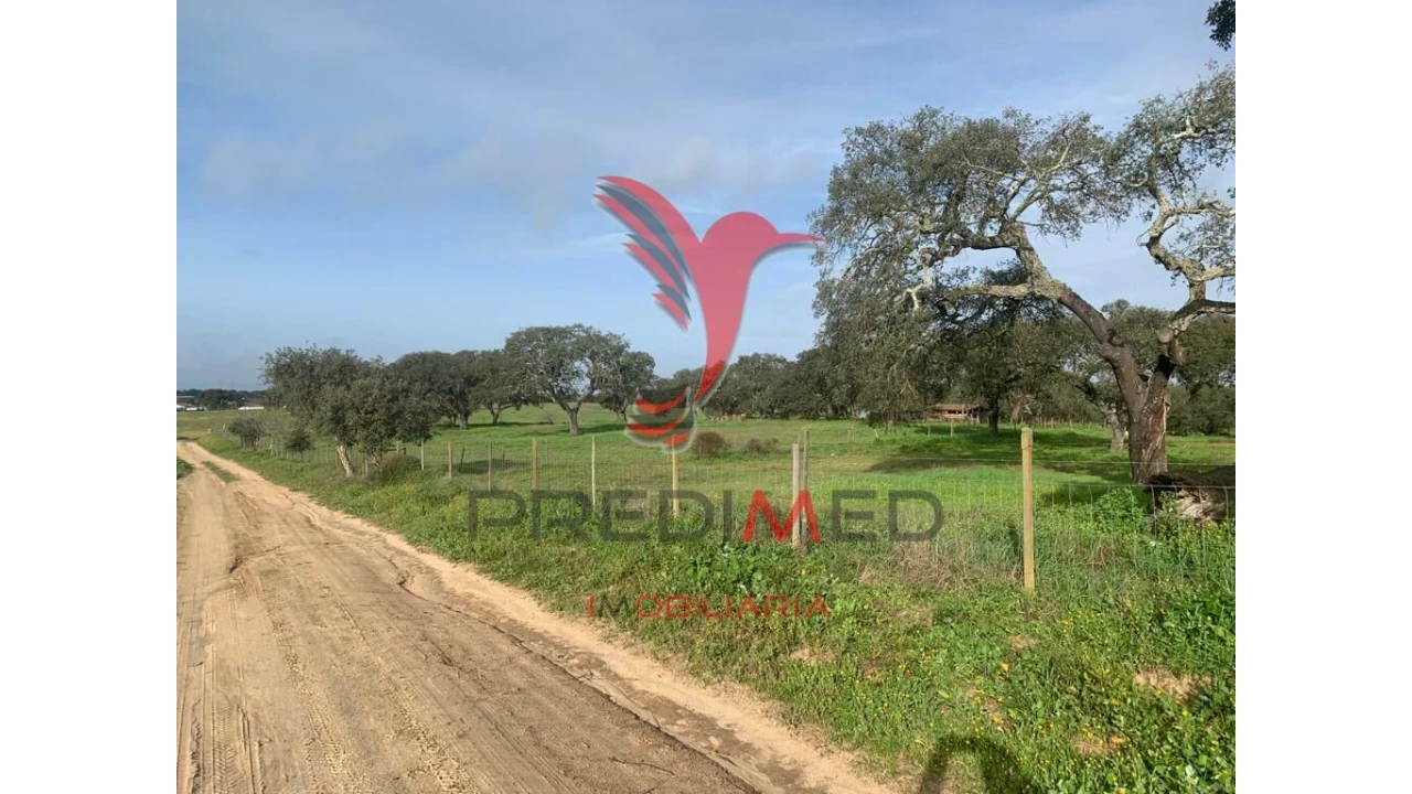Terreno para Venda em Ferreira do Alentejo e Canhestros Foto 6