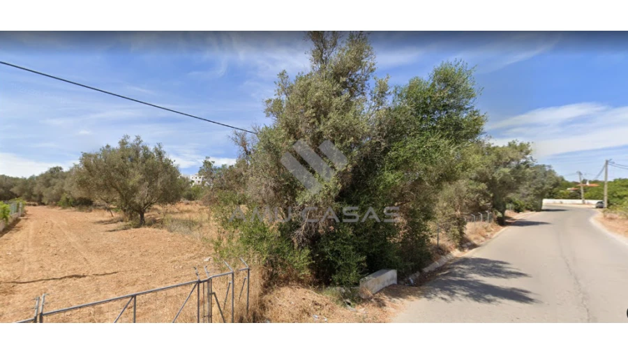 Terreno para Venda em Armação de Pera Foto 2