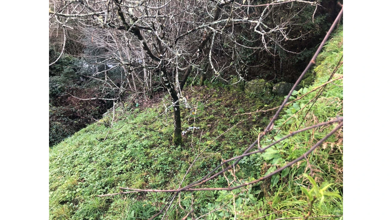 Terreno para Venda em Cristoval Foto 9