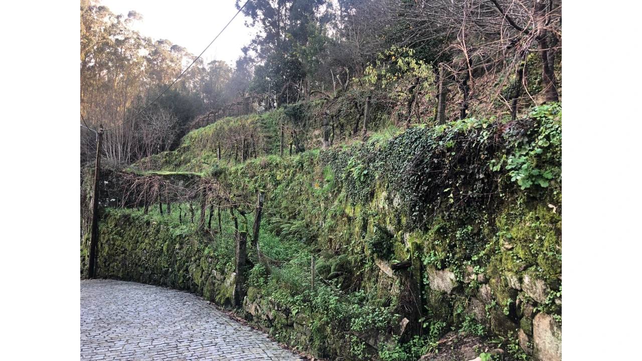 Terreno para Venda em Cristoval Foto 18