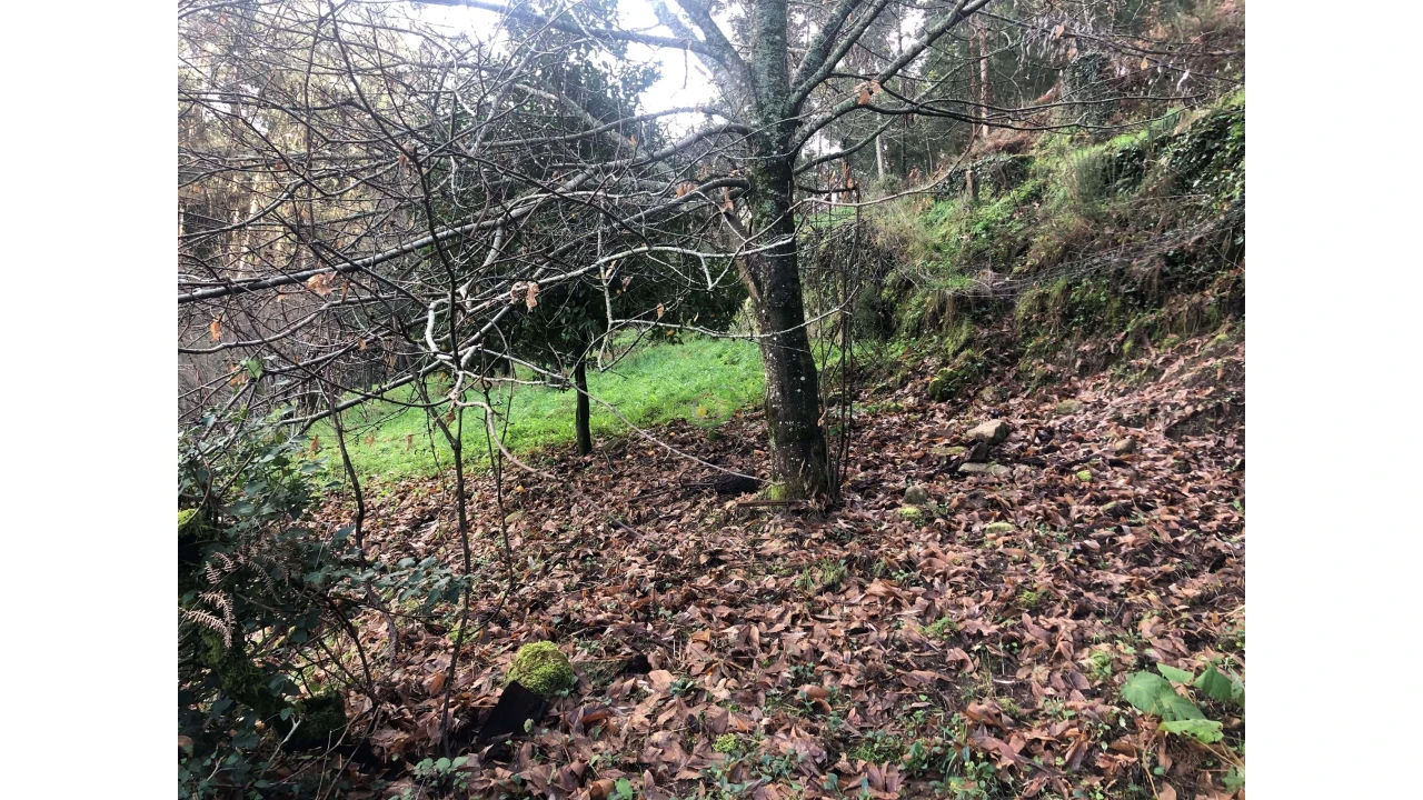 Terreno para Venda em Cristoval Foto 3