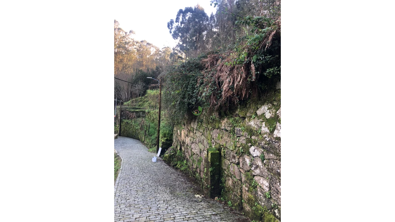 Terreno para Venda em Cristoval Foto 25