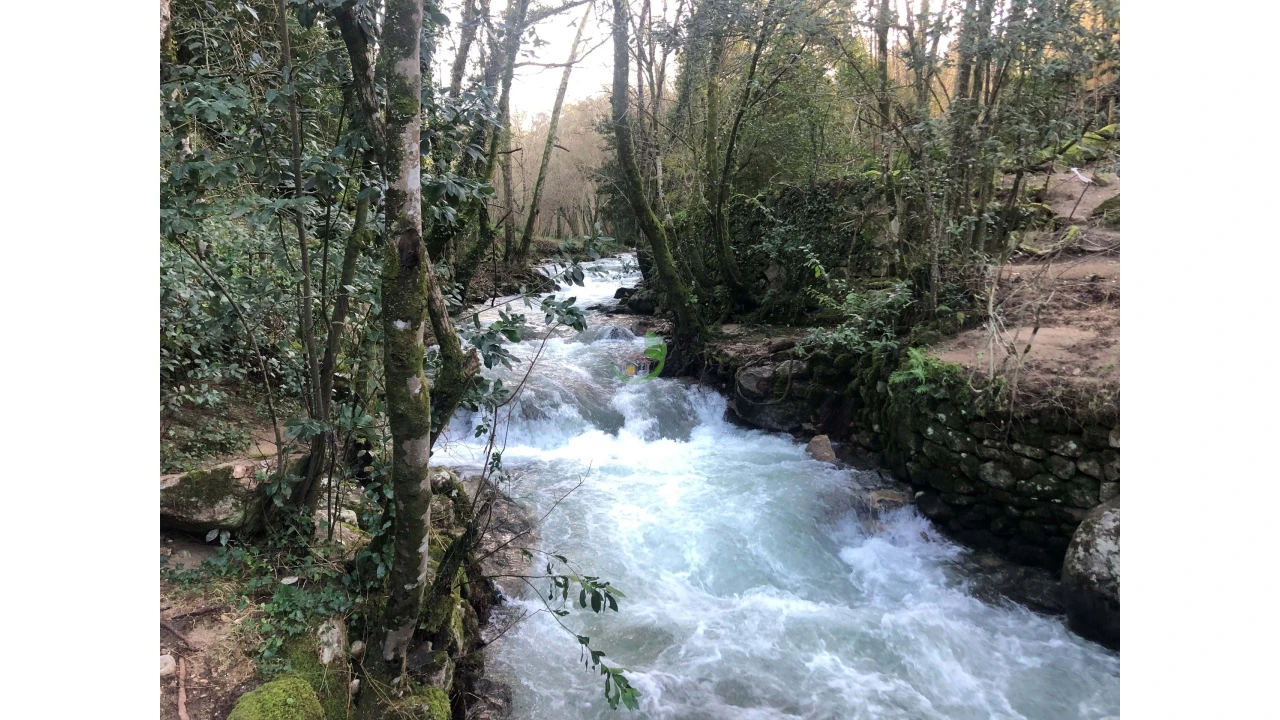 Terreno para Venda em Cristoval Foto 40
