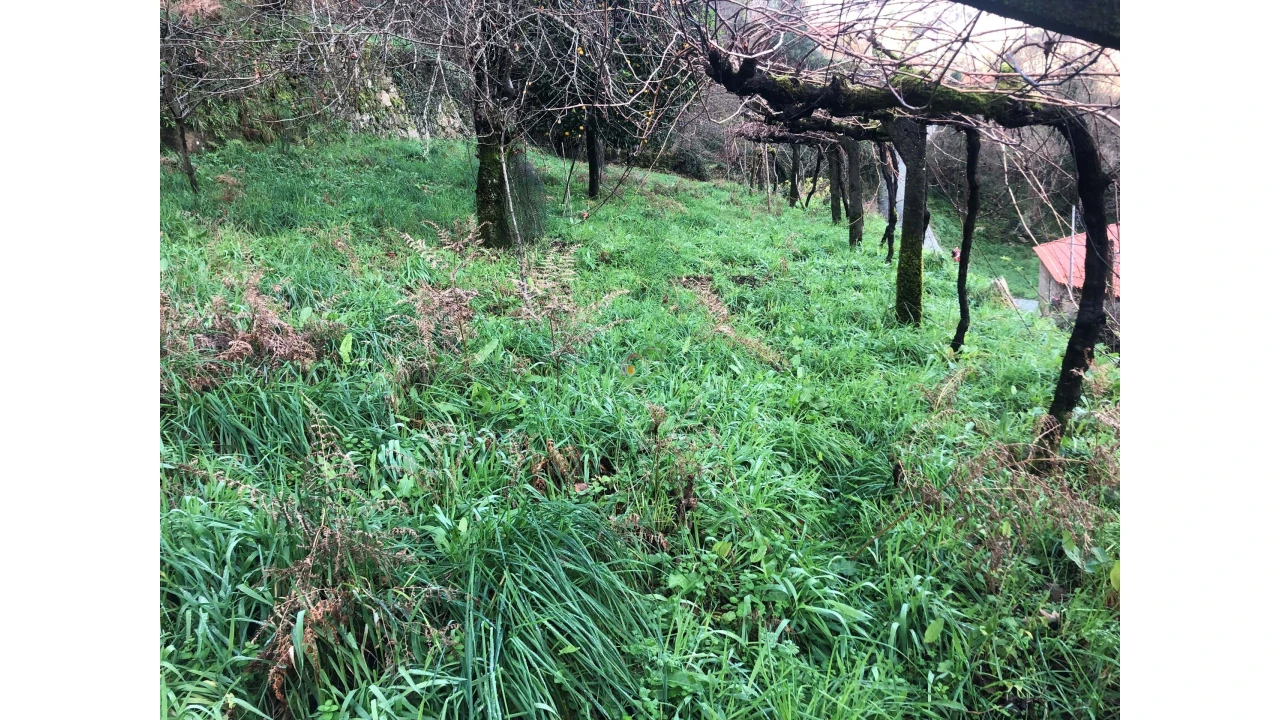 Terreno para Venda em Cristoval Foto 8