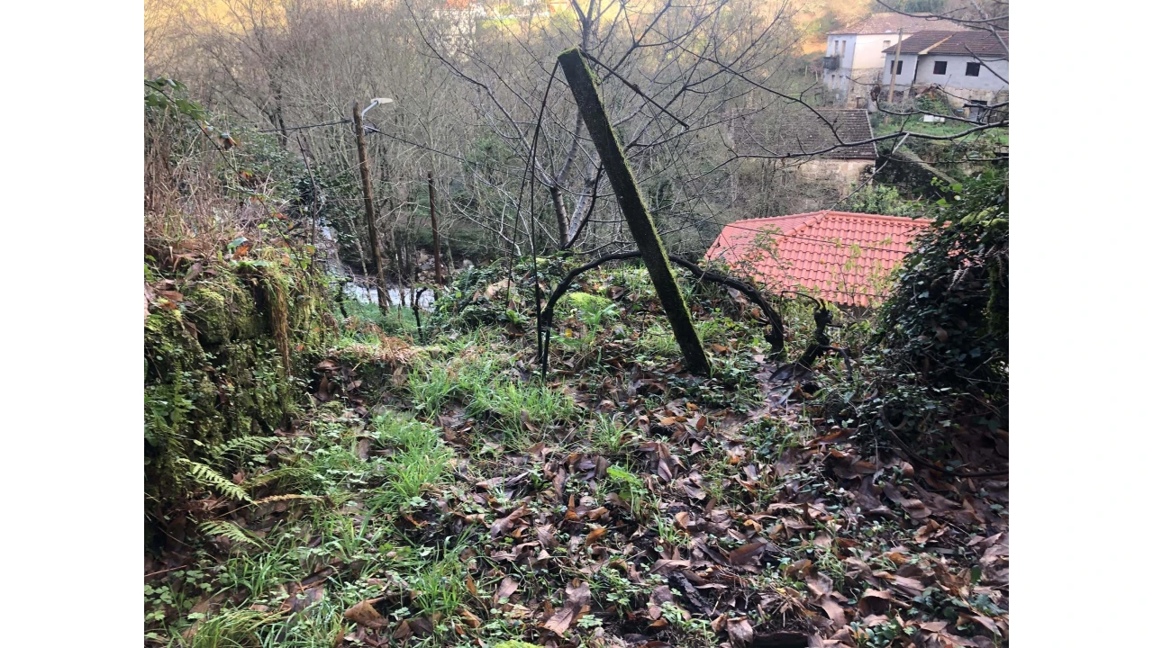 Terreno para Venda em Cristoval Foto 4