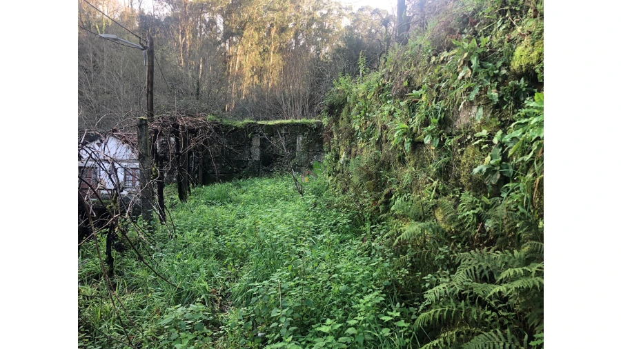 Terreno para Venda em Cristoval Foto 16