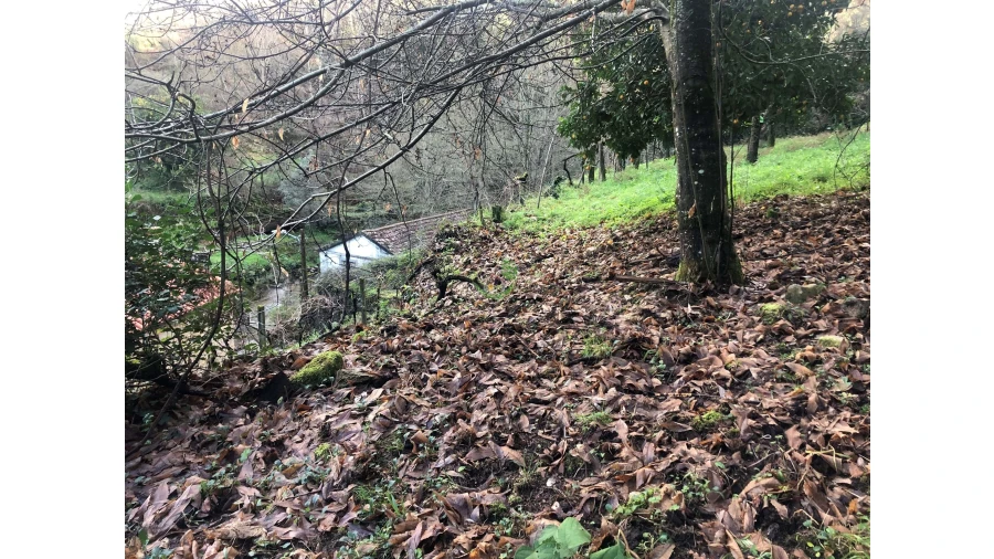 Terreno para Venda em Cristoval Foto 5