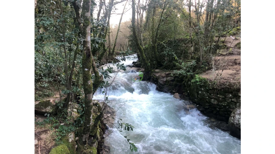 Terreno para Venda em Cristoval Foto 40