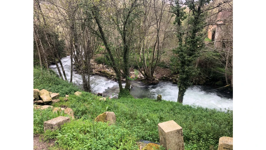 Terreno para Venda em Cristoval Foto 49
