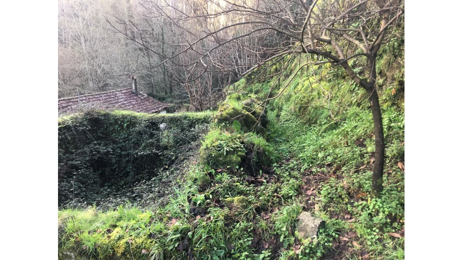 Terreno para Venda em Cristoval Foto 14