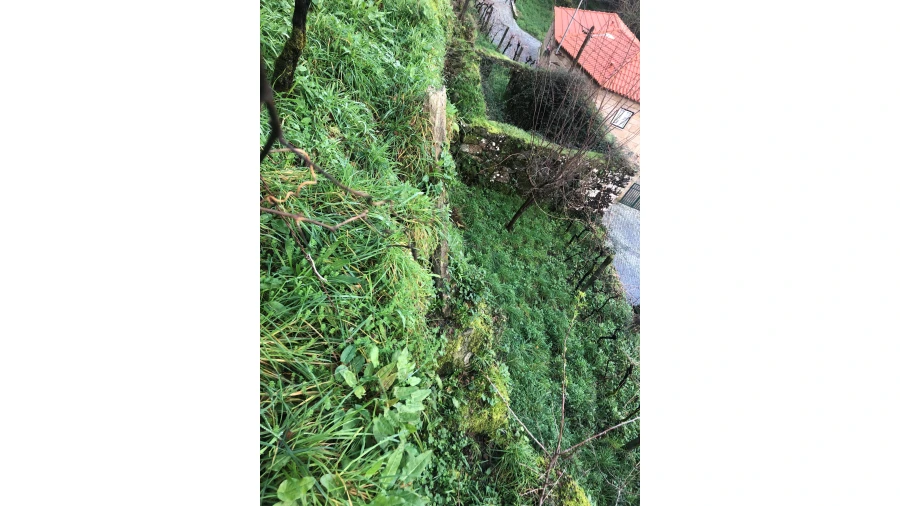 Terreno para Venda em Cristoval Foto 10