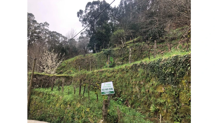 Terreno para Venda em Cristoval Foto 56