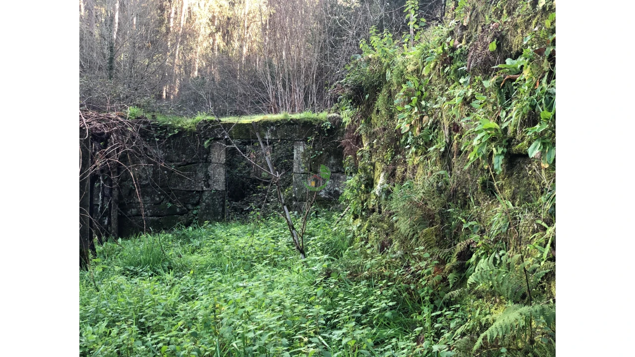 Terreno para Venda em Cristoval Foto 17