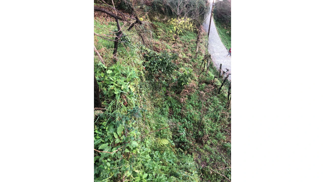 Terreno para Venda em Cristoval Foto 12