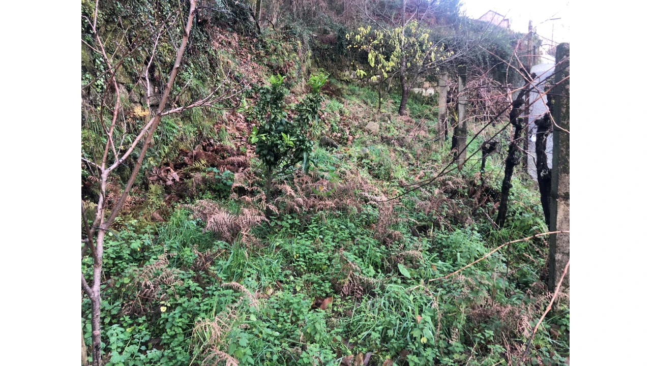 Terreno para Venda em Cristoval Foto 13