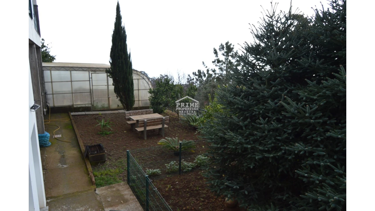 Moradia T3 para Venda em Camacha Foto 21