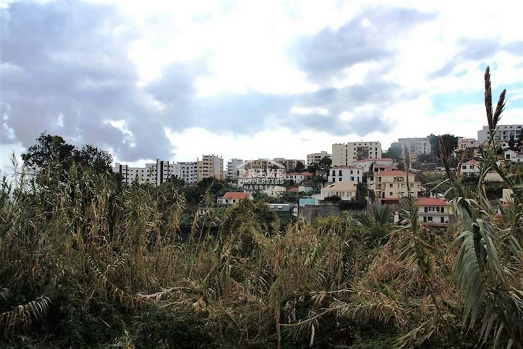 Terreno para Venda em Santo Antonio Foto 3