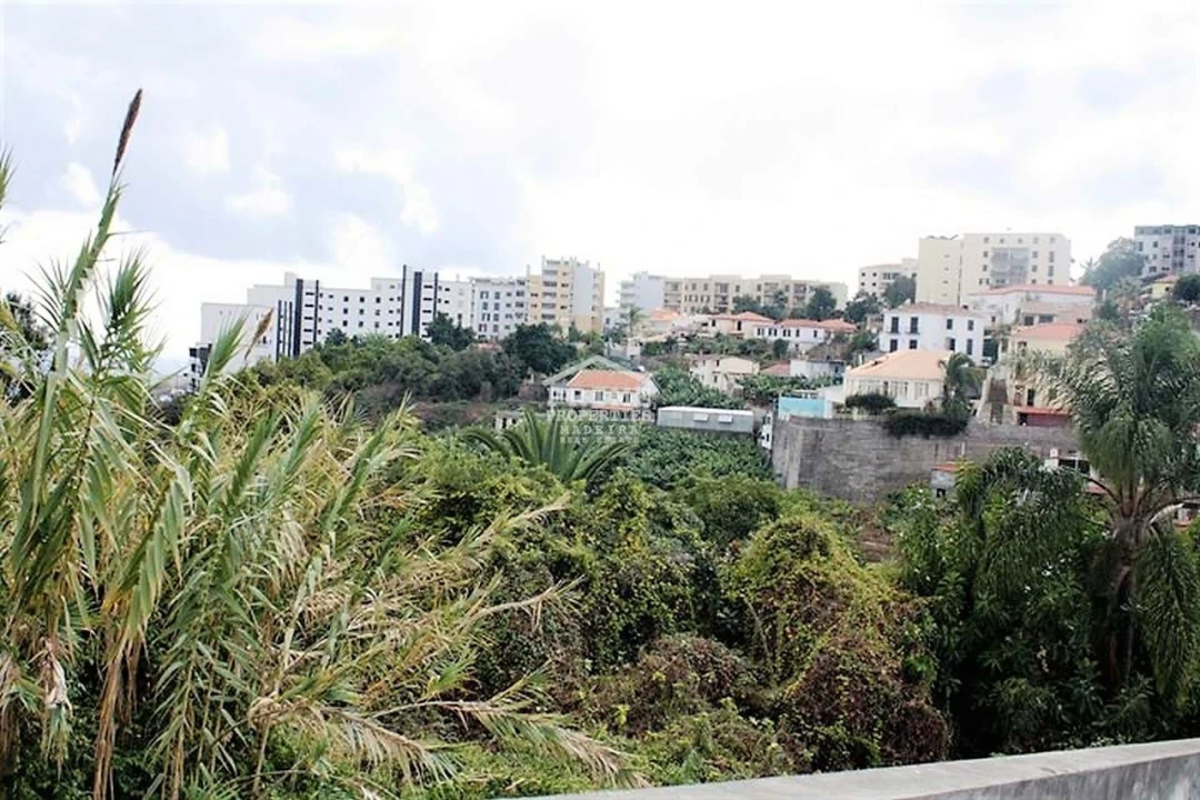 Terreno para Venda em Santo Antonio Foto 2