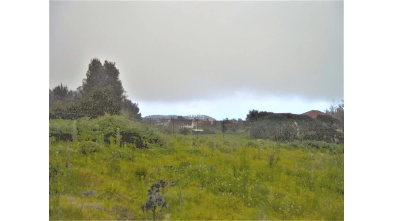 Terreno para Venda em Porto Moniz Foto 3