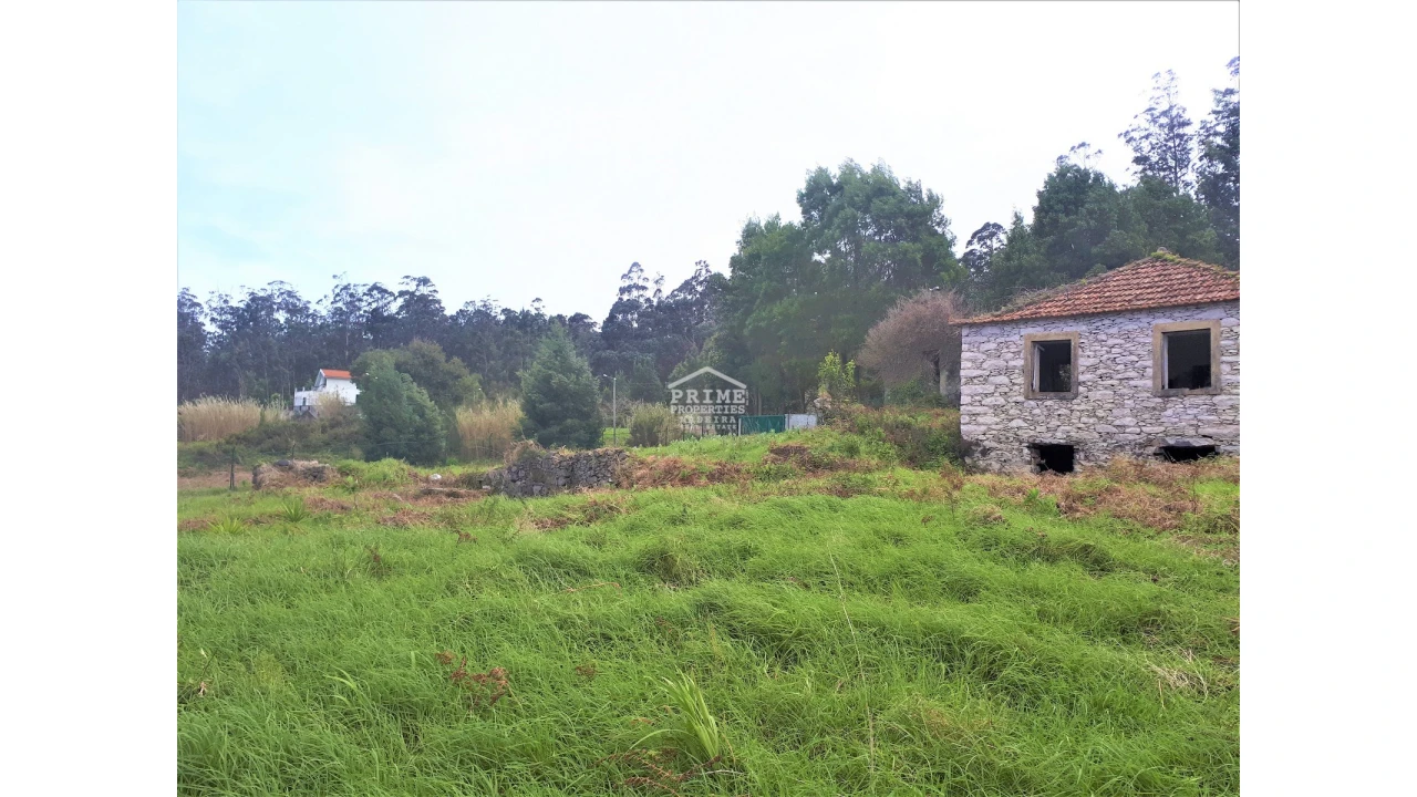 Terreno para Venda em Porto Moniz Foto 1