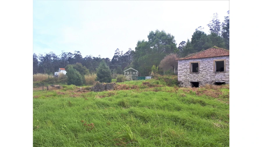 Terreno para Venda em Porto Moniz Foto 1