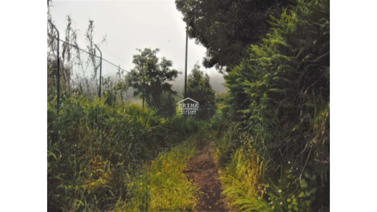 Terreno para Venda em Porto Moniz Foto 4