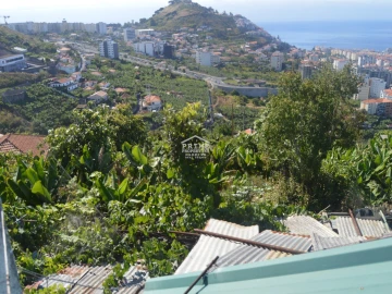 Terreno para Venda em São Martinho