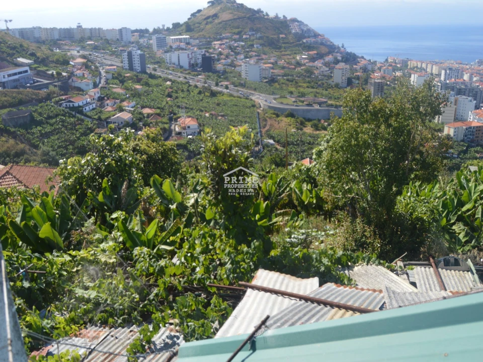 Terreno para Venda em São Martinho Foto 4