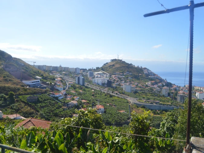 Terreno para Venda em São Martinho Foto 2