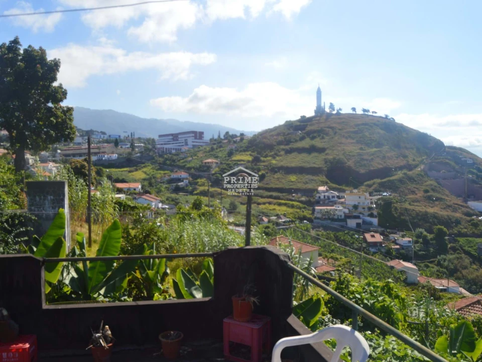 Terreno para Venda em São Martinho Foto 3